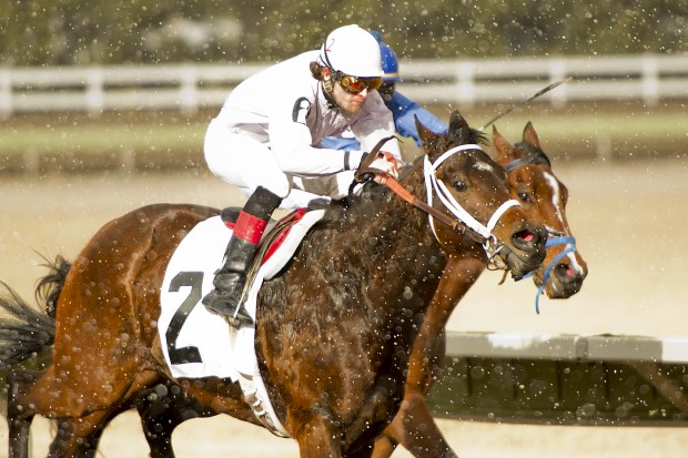 Horse racing